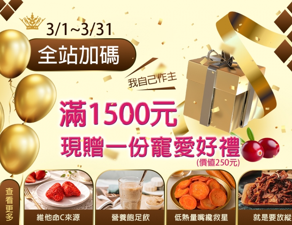 2026.03月常態活動